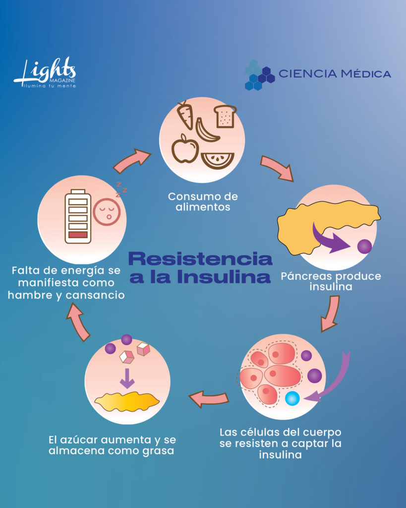 Resistencia a la insulina
Clinlab laboratorio clínico
Lights Magazine